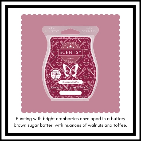 Scentsy BBMB January 2023 18