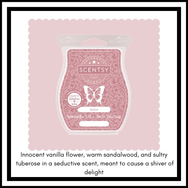 Scentsy BBMB January 2023 2