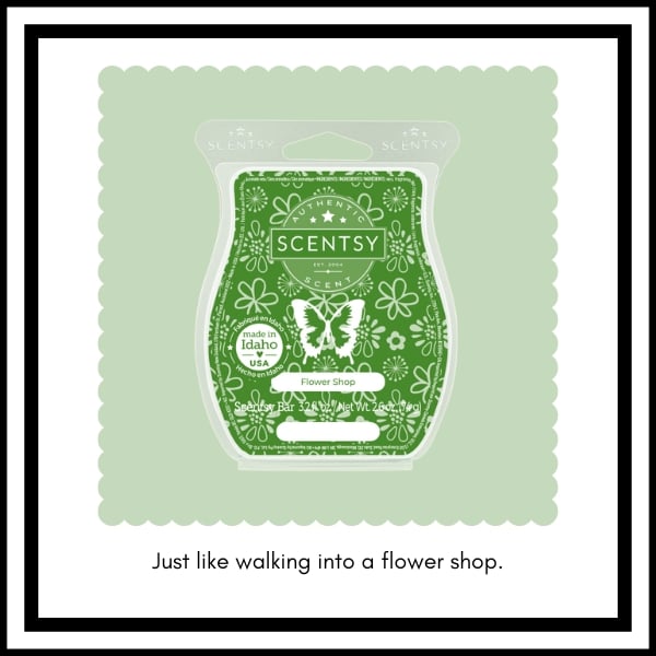 Scentsy BBMB January 2023 20