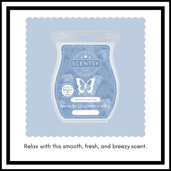 Scentsy BBMB January 2023 21