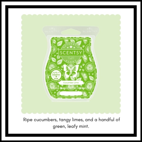 Scentsy BBMB January 2023 5