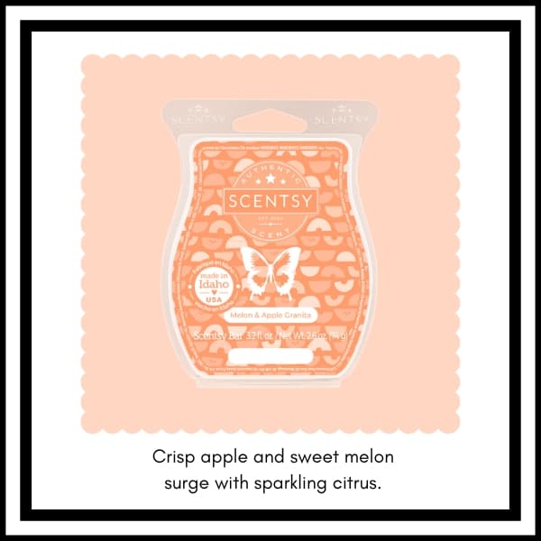 Scentsy BBMB January 2023 7