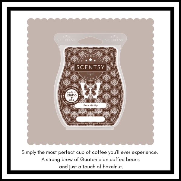 Scentsy BBMB January 2023 8