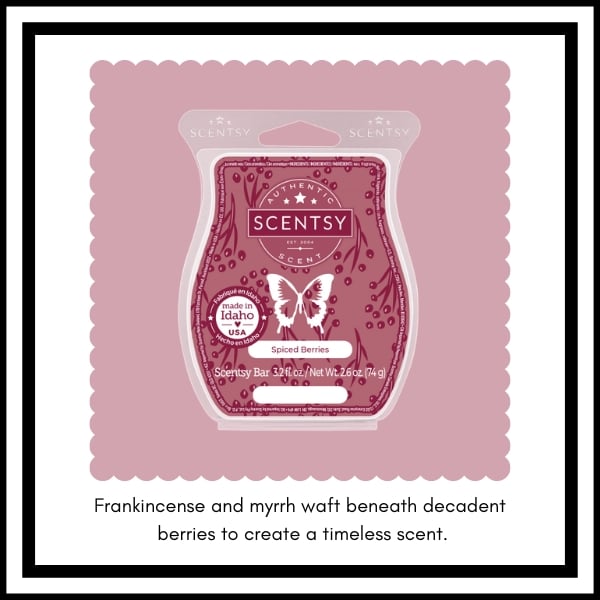 Scentsy BBMB January 2023 9