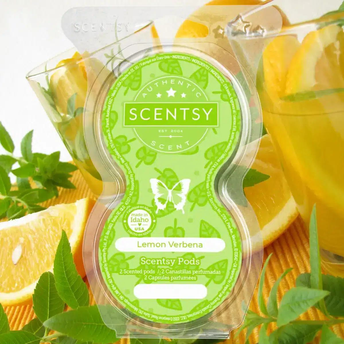 Scentsy July 2024 Bring Back my Bar