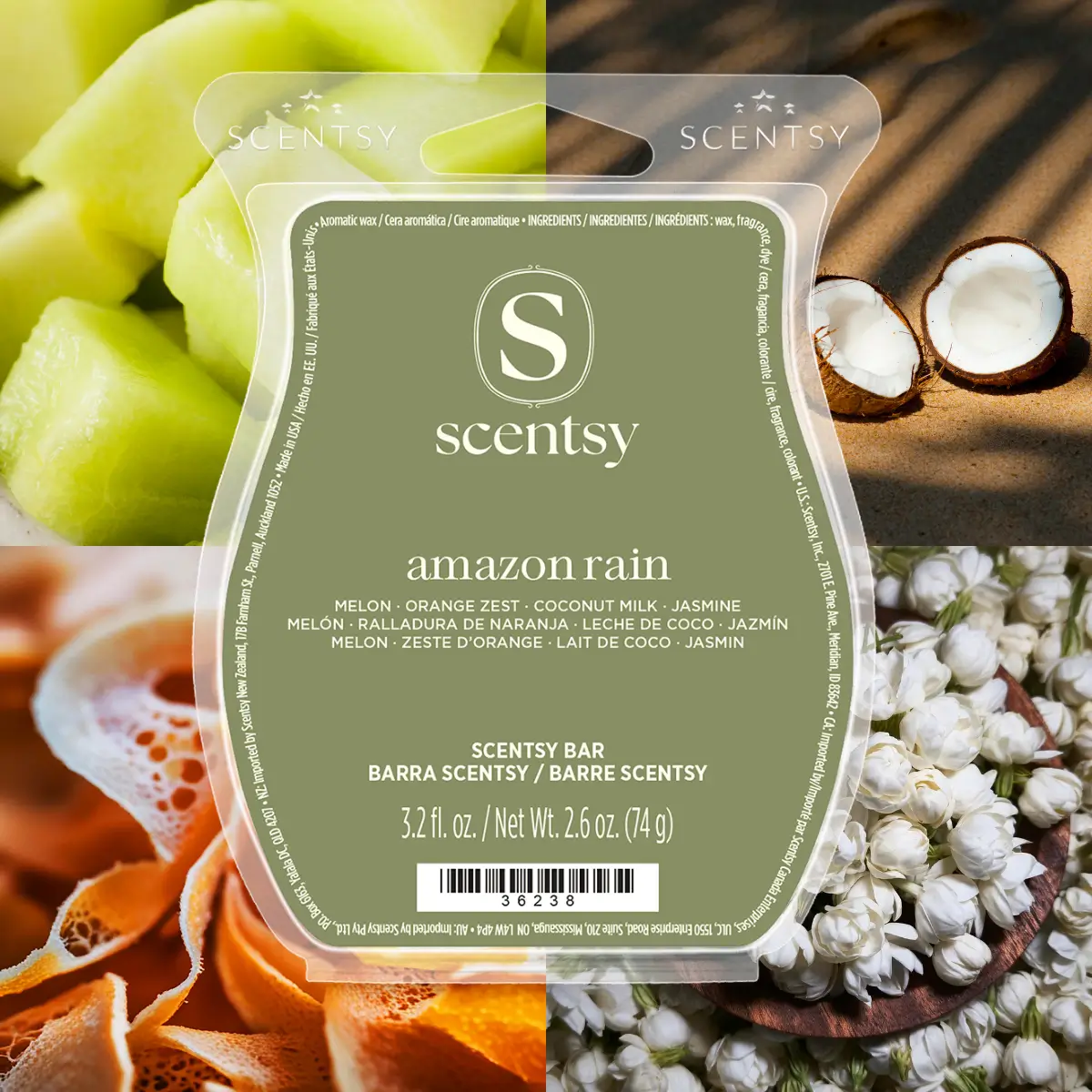 Scentsy Bars Stylized 2026 Annual Catalog (6) Amazon Rain Scentsy Wax Bar