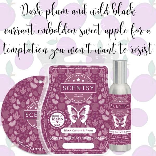 Scentsy Black Plum Currant