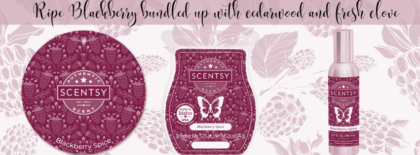 Scentsy Blackberry Spice 851 × 315 px