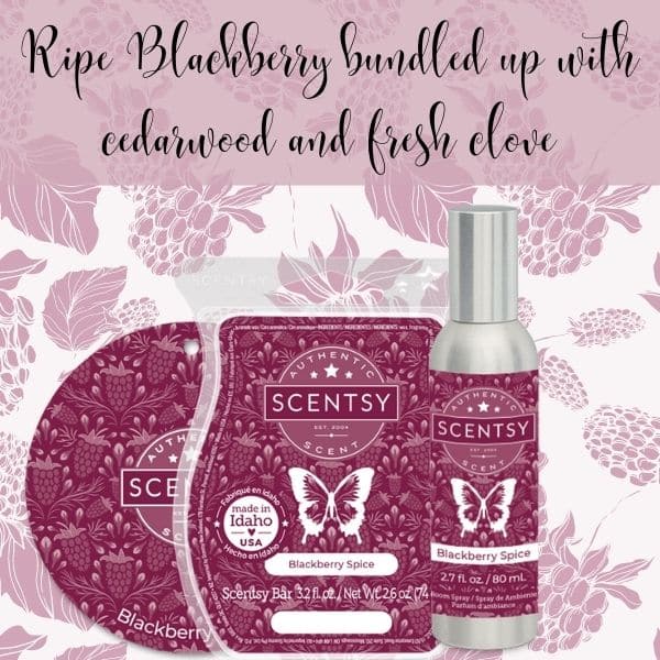 Scentsy Blackberry Spice