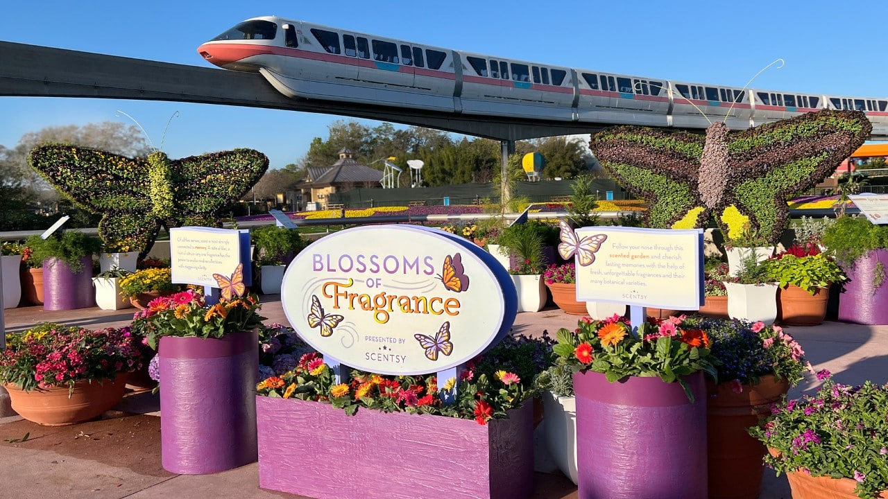 Scentsy Blooms of Fragrance Epcot