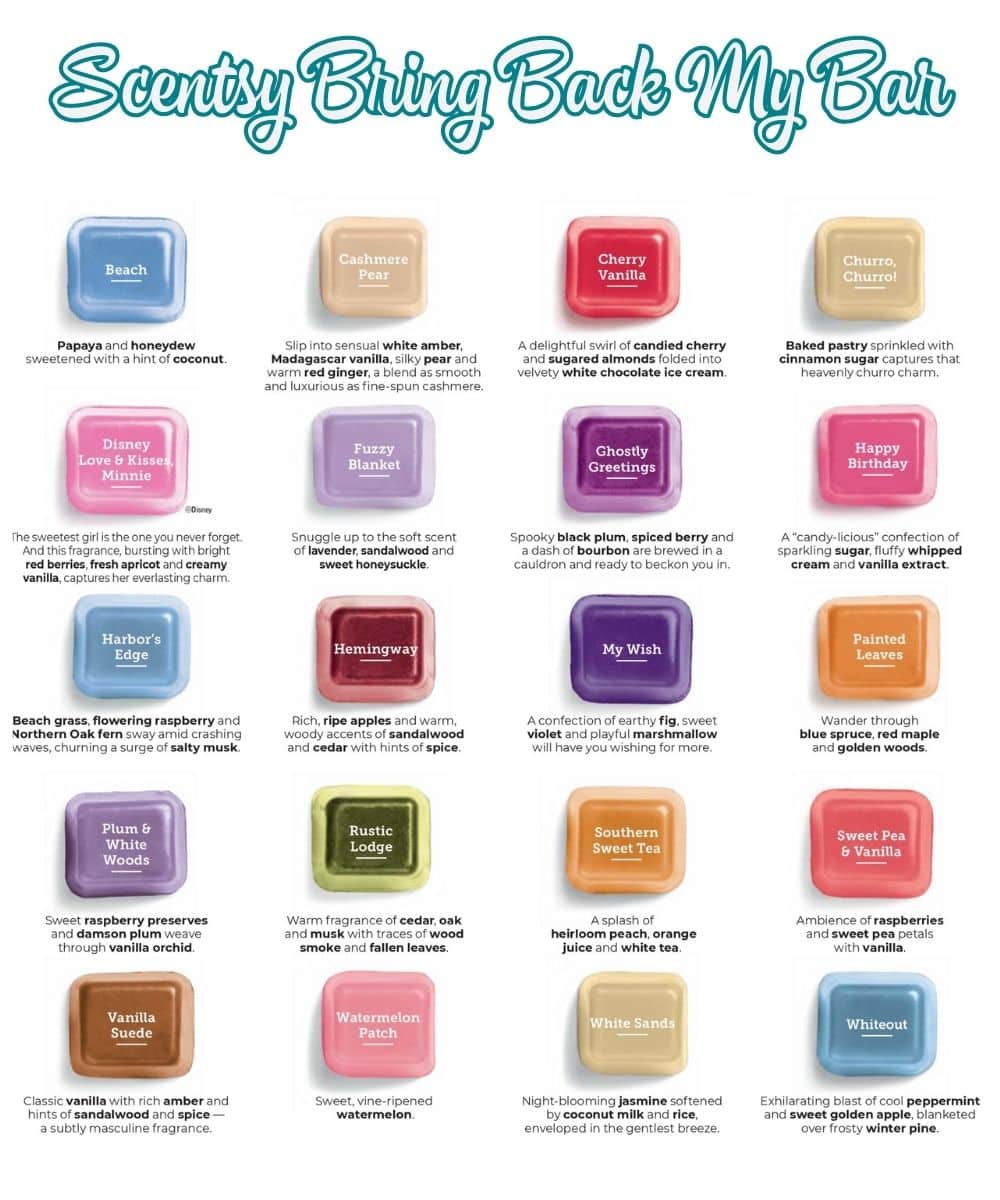 Scentsy Bring Back My Bar 2