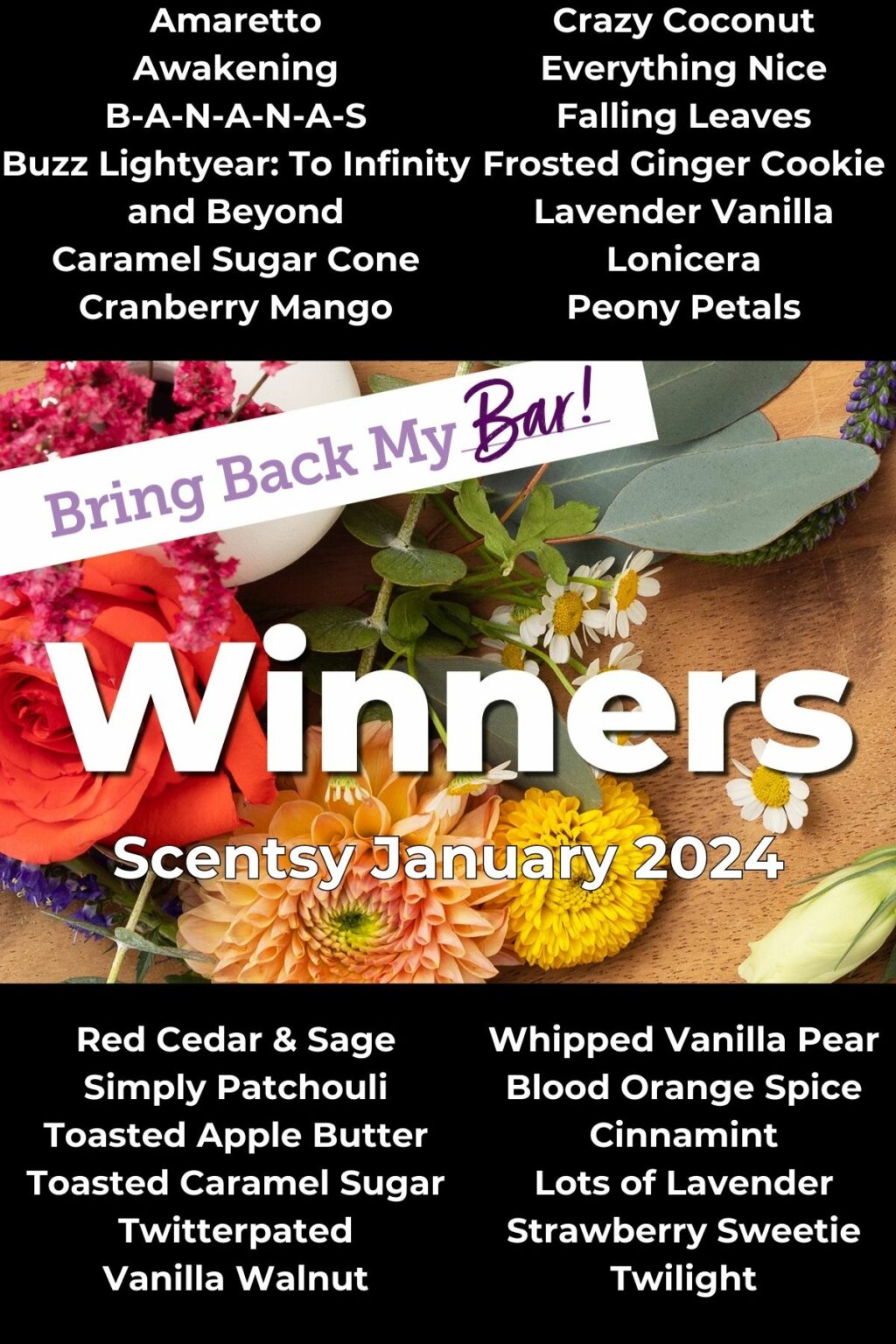 Scentsy Bring Back My Bar January 2025 Winners Incandescent.Scentsy.us