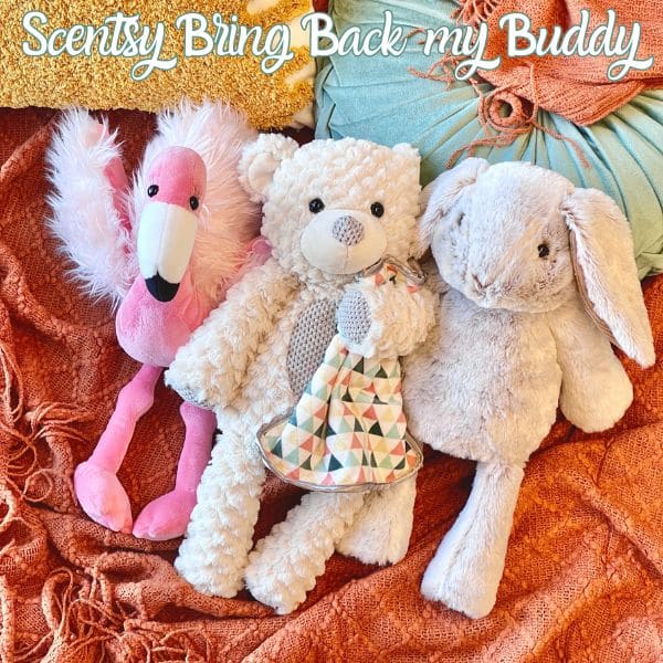 Scentsy Bring Back my Buddy 2023 Winners