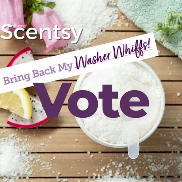 New Scentsy SPRING/ SUMMER 2016 SCENTSY ZUNI ELEMENT WARMER Incandescent.Scentsy.us