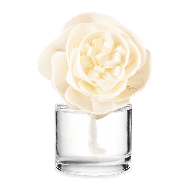 Scentsy Buttercup Belle Fragrance Flower 2 Scentsy Buttercup Belle Fragrance Flower 2