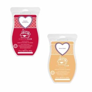 Scentsy Bricks | Scentsy Club Subscription
