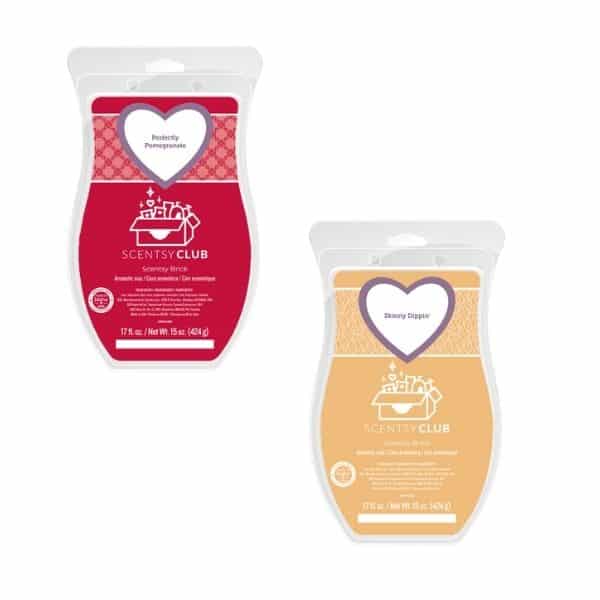 Scentsy Club Bricks