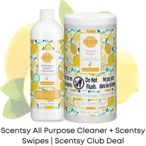 Scentsy All Purpose Cleaner + Scentsy Swipes | Squeeze the Day