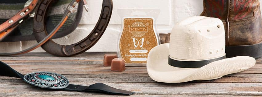 Country Born Cowboy Hat Scentsy Warmer Bundle