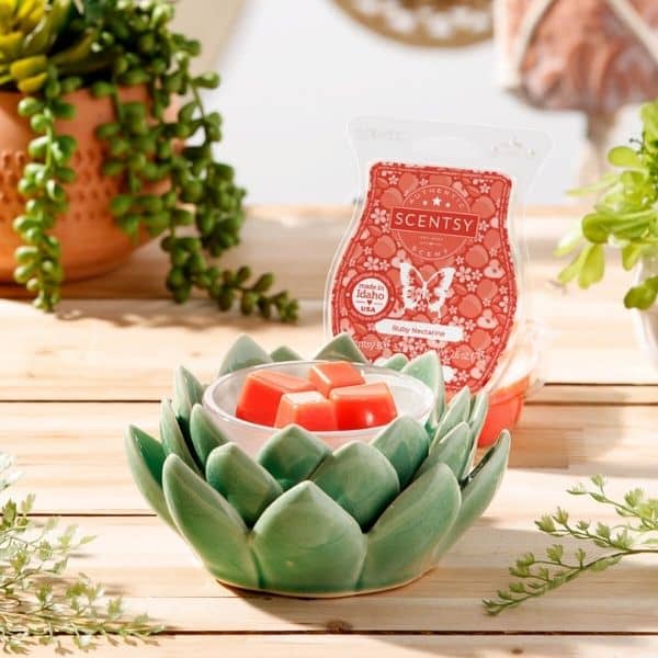 Scentsy April 2022 Warmer &Amp; Scent Of The Month | Desert Bloom &Amp; Ruby Nectarine Scentsy Desert Bloom Ruby Nectarine