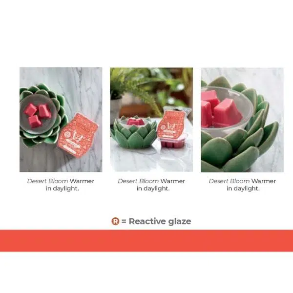 Scentsy April 2022 Warmer & Scent Of The Month Desert Bloom & Ruby