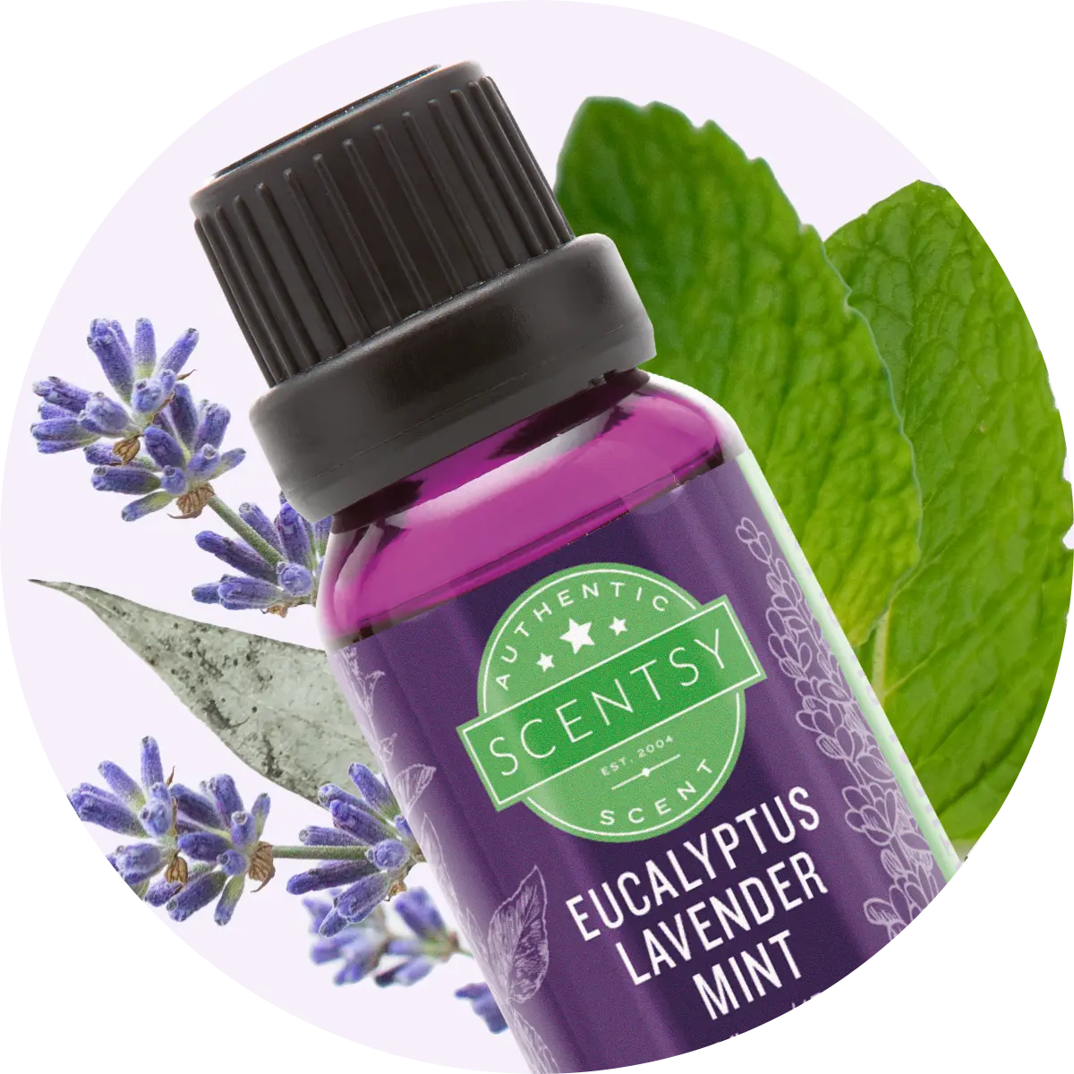 Scentsy Diffusers OIls 2