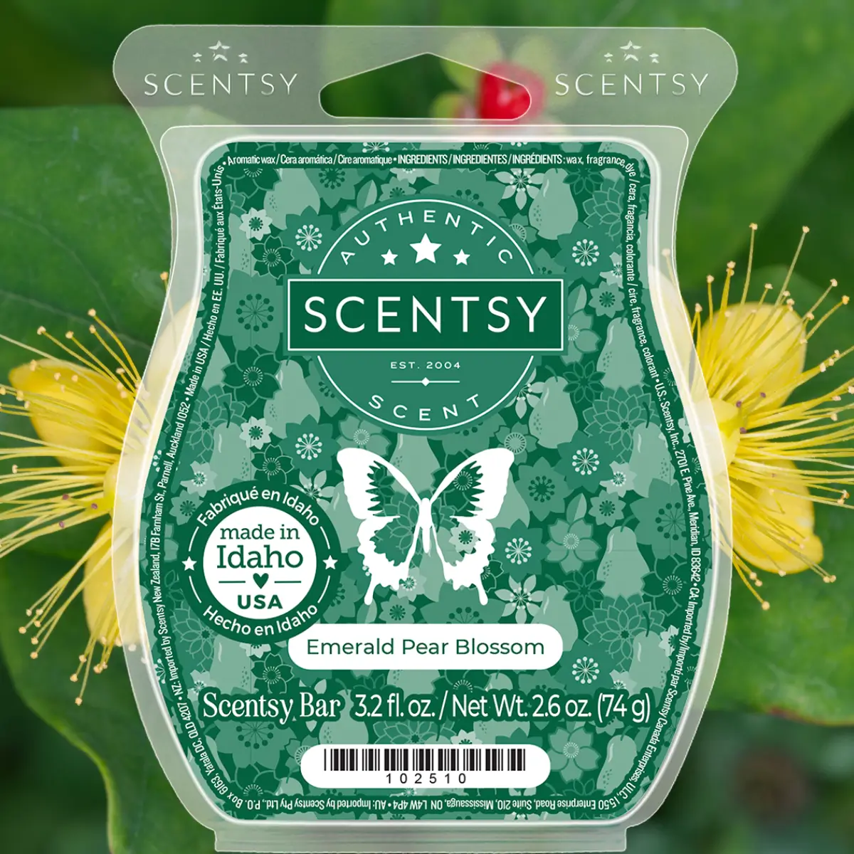 View the Scentsy 2025 Fall Catalog Scent List