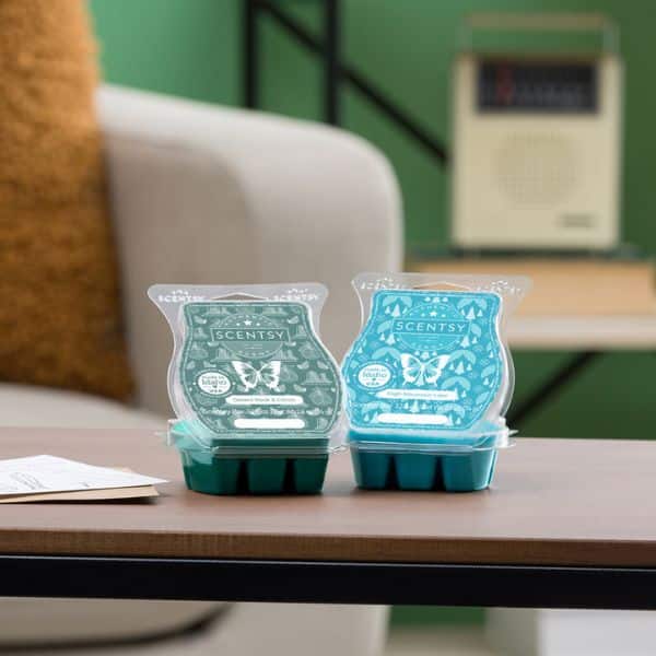 Scentsy Fathers Day Bars