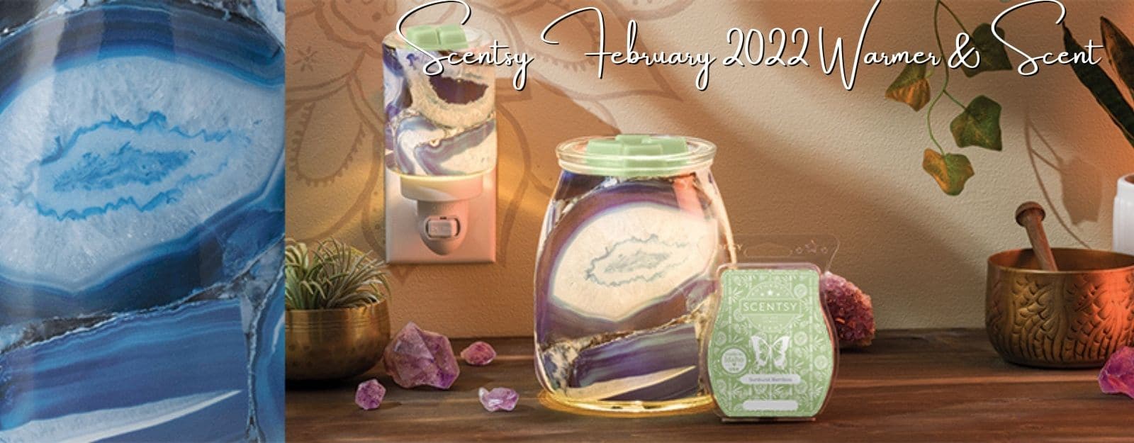 Scentsy February 2022 Warmer Scent 1600 x 625 px