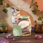 Scentsy February 2022 Warmer Scent Blue Agate Sunburst Bamboo