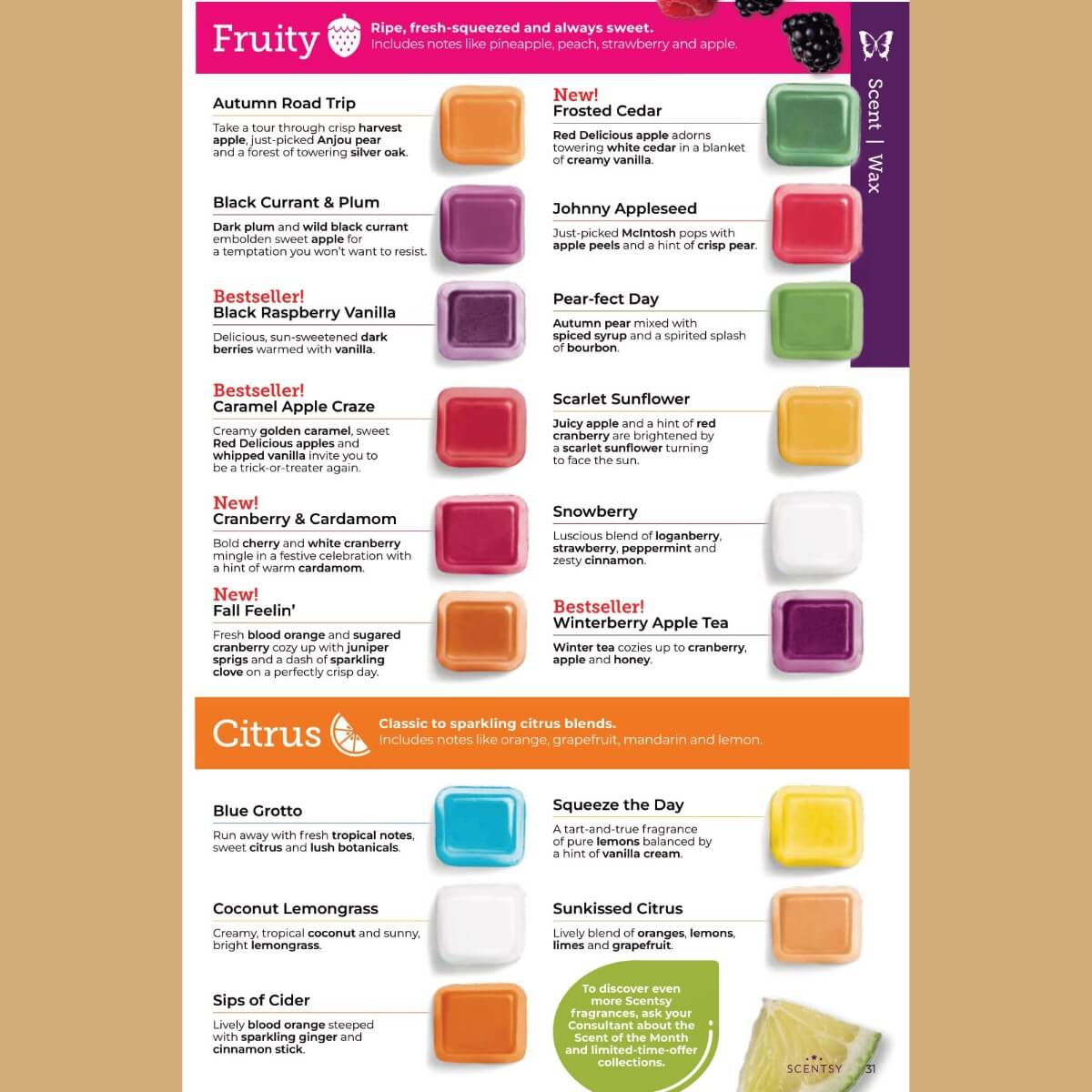 Complete Scentsy Fall Winter 2023 Catalog Scent List