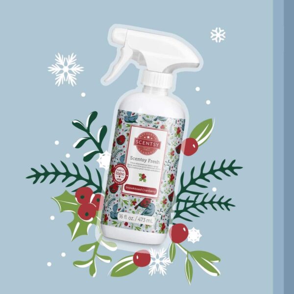 Scentsy Holiday Collection Body Clean 03