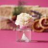 Coastal Sunset Scentsy Fragrance Flower | Darling Dahlia