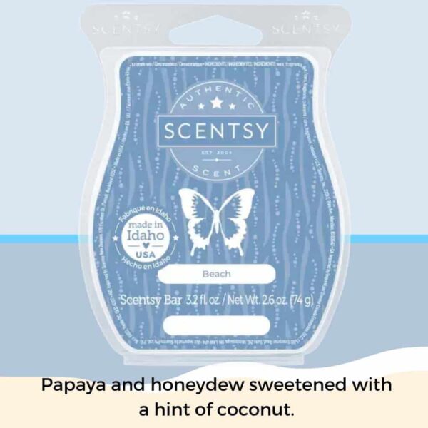 Scentsy June 2023 Bring Back my Bar 1