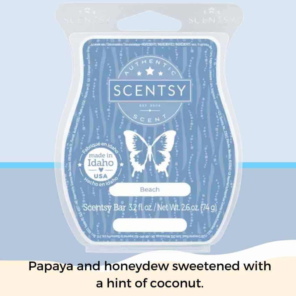 Scentsy June 2023 Bring Back my Bar 1