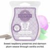 Plum & White Woods Scentsy Bar