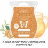 Southern Sweet Tea Scentsy Bar