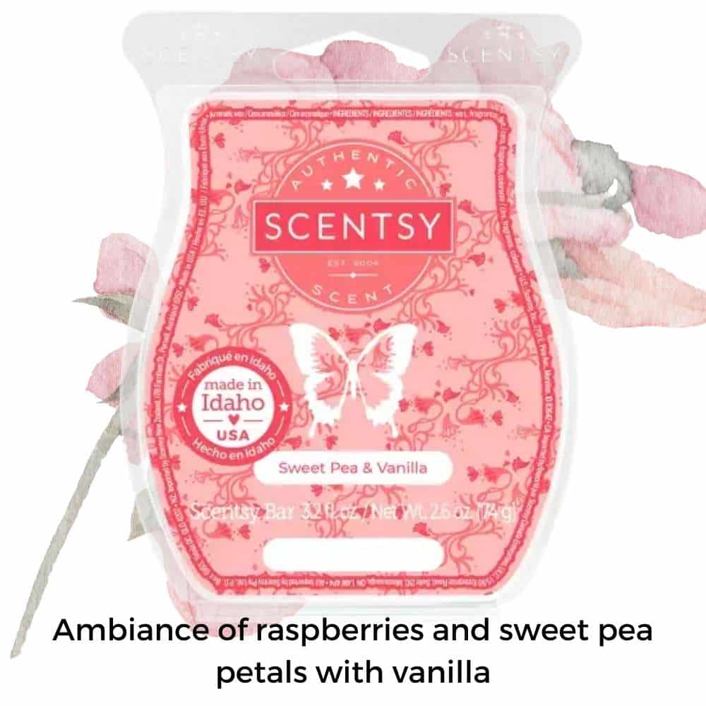 Scentsy June 2023 Bring Back my Bar 3