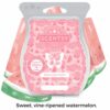 Watermelon Patch Scentsy Bar