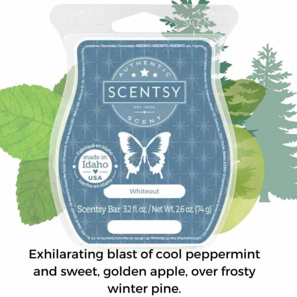 Scentsy June 2023 Bring Back my Bar 20