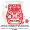 Cherry Vanilla Scentsy Bar