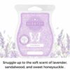 Fuzzy Blanket Scentsy Bar