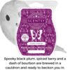 Ghostly Greetings Scentsy Bar | Shop Scentsy | Incandescent.Scentsy.us