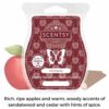 Hemingway Scentsy Bar
