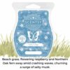 Harbor's Edge Scentsy Bar
