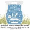 Scentsy June 2023 Bring Back my Bar 9