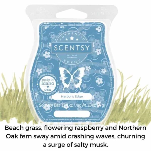 Scentsy June 2023 Bring Back my Bar 9