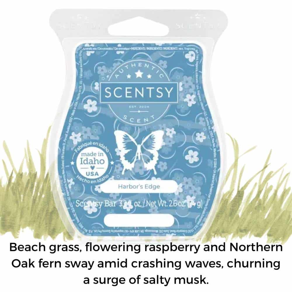 Scentsy June 2023 Bring Back my Bar 3