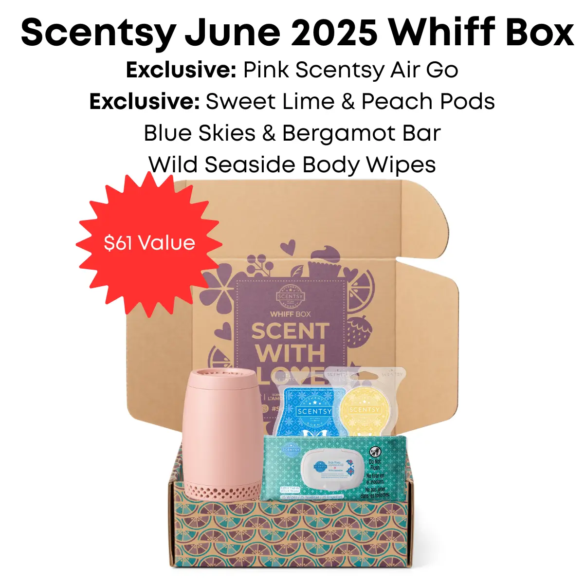 Scentsy Whiff Box June 2025