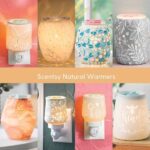 Scentsy Natural Warmers 600 × 600 px